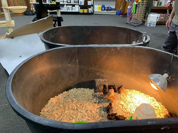 WINNING CIRCLE FEED & PET SUPPLIES: 9722 State Road 52, Hudson, FL 34669